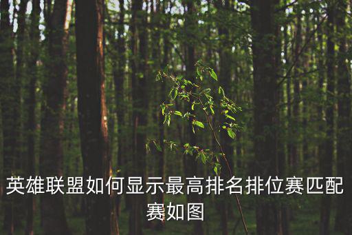 手游英雄联盟怎么展示排名，英雄联盟的排位成绩怎么在名片里显示出来出来了自己能不能看到