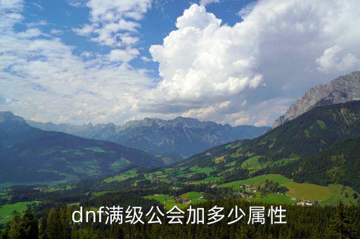 dnf满级公会加多少属性