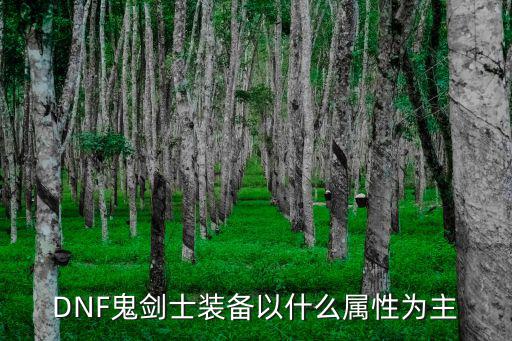 DNF鬼剑士装备以什么属性为主