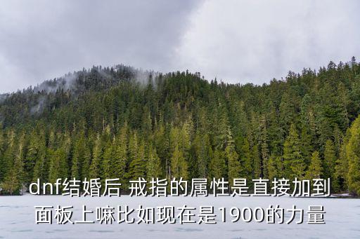 dnf结婚后 戒指的属性是直接加到面板上嘛比如现在是1900的力量
