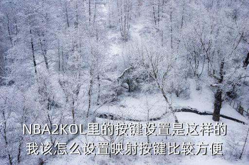 NBA2KOL里的按键设置是这样的我该怎么设置映射按键比较方便