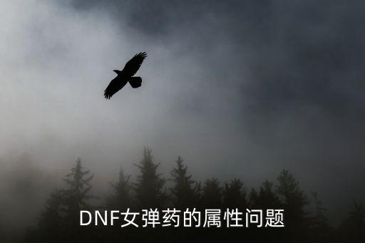 dnf女弹药自带什么属性，dnf刷图女弹药加什么属性