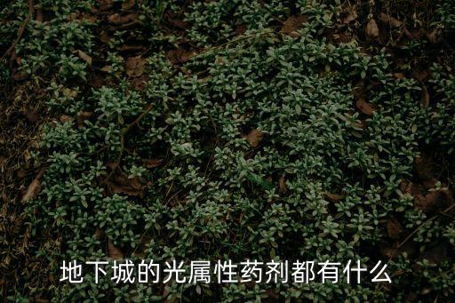 dnf又什么光属性药剂，地下城的光属性药剂都有什么
