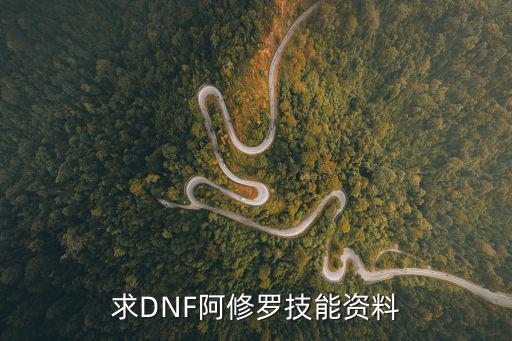 求DNF阿修罗技能资料