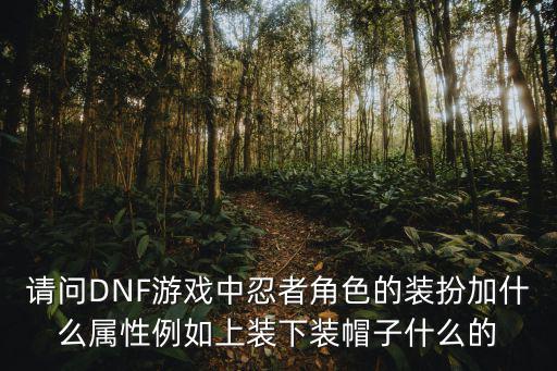 dnf忍者自带什么属性吗，dnf忍者装扮属性选择