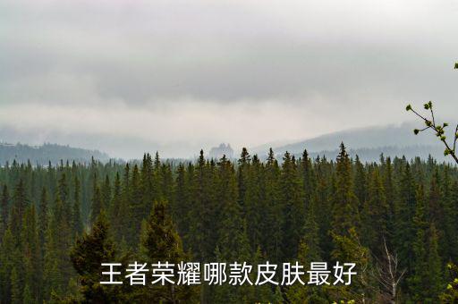 王者荣耀哪款皮肤最好