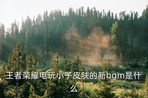 王者荣耀电玩小子皮肤的新bgm是什么
