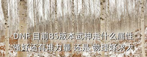 dnf极武神什么属性好，DNF 目前85版本武神走什么属性强好还有堆力量 还是 物理好求大