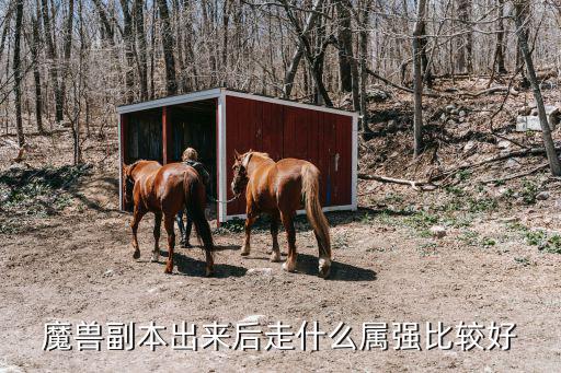 魔兽副本出来后走什么属强比较好