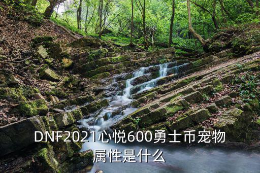 DNF2021心悦600勇士币宠物属性是什么