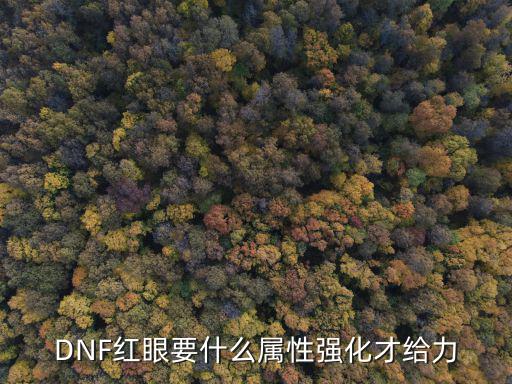 DNF红眼要什么属性强化才给力