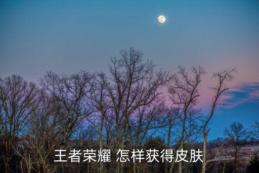 王者荣耀 怎样获得皮肤