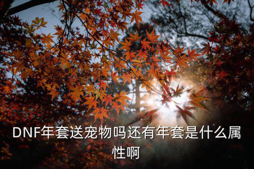 DNF年套送宠物吗还有年套是什么属性啊
