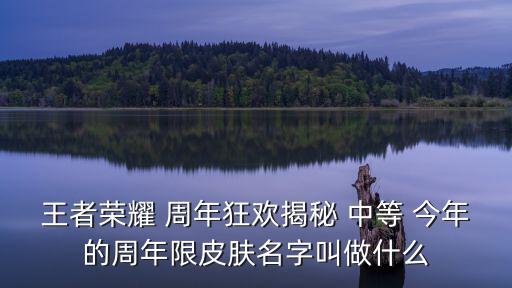 王者荣耀 周年狂欢揭秘 中等 今年的周年限皮肤名字叫做什么