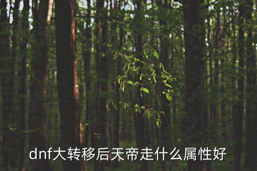 dnf大转移后天帝走什么属性好