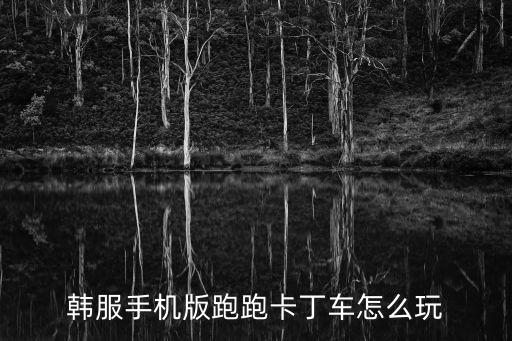 韩服手机版跑跑卡丁车怎么玩