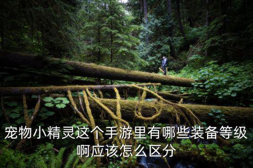 宠物小精灵这个手游里有哪些装备等级啊应该怎么区分
