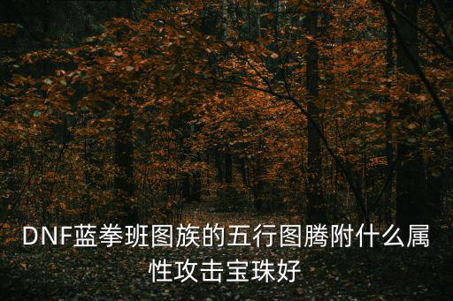 DNF蓝拳班图族的五行图腾附什么属性攻击宝珠好