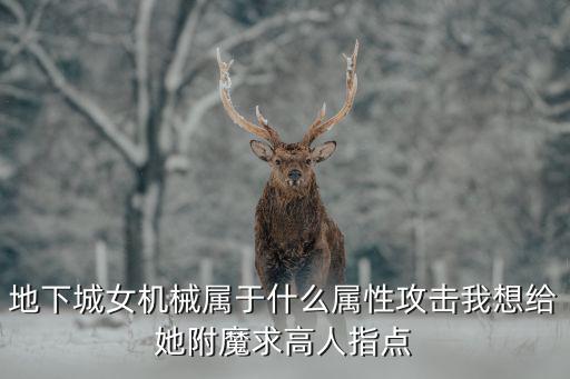 地下城女机械属于什么属性攻击我想给她附魔求高人指点