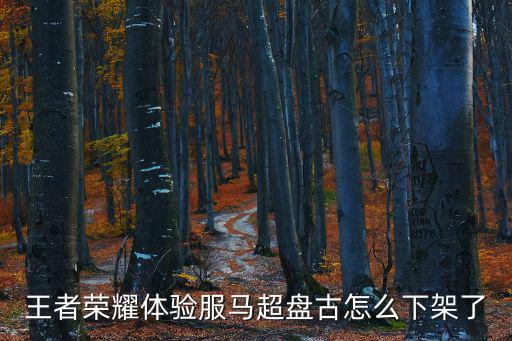 王者荣耀体验服马超盘古怎么下架了