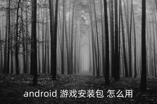 android 游戏安装包 怎么用
