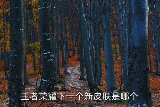 王者荣耀下一个新皮肤是哪个