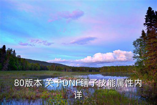 dnf瞎子有什么25属性，80版本 关于DNF瞎子技能属性内详