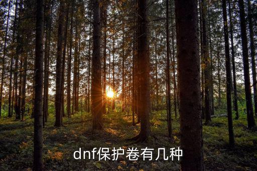 dnf保护卷有几种