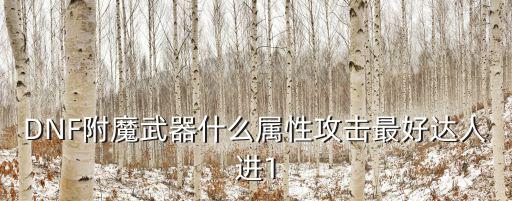 DNF附魔武器什么属性攻击最好达人进1