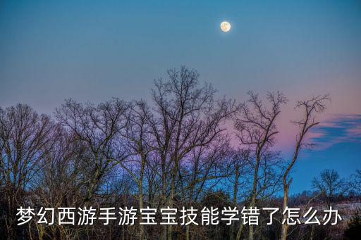 梦幻西游手游宝宝技能学错了怎么办