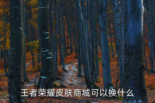 王者荣耀皮肤商城可以换什么