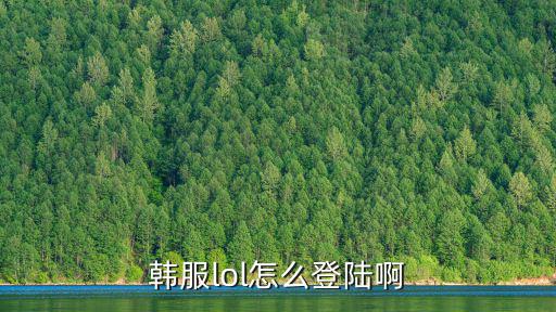 韩服lol怎么登陆啊