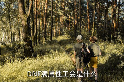 DNF满属性工会是什么