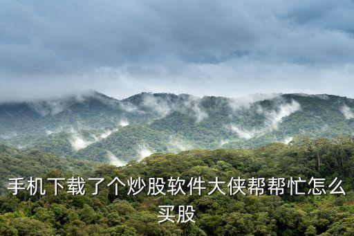 手机下载了个炒股软件大侠帮帮忙怎么买股