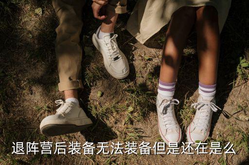 退阵营后装备无法装备但是还在是么