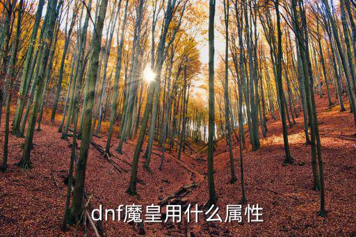 dnf魔皇主加什么属性，dnf魔皇应该走什么属性和加点我主要刷图