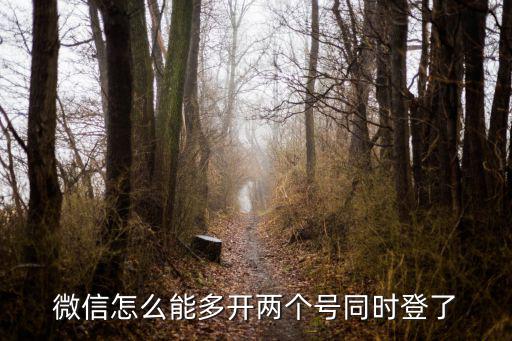 微信怎么能多开两个号同时登了