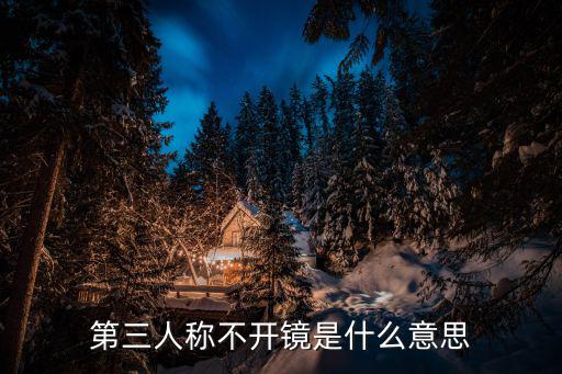 第三人称不开镜是什么意思