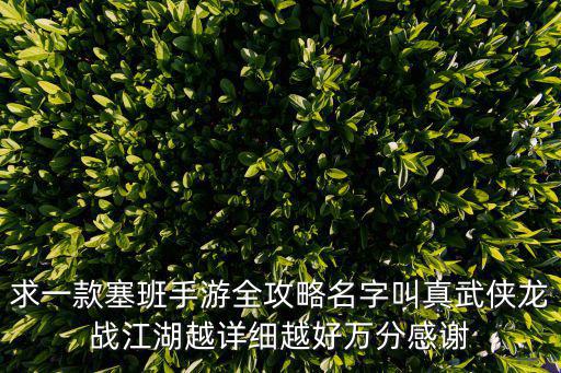 求一款塞班手游全攻略名字叫真武侠龙战江湖越详细越好万分感谢