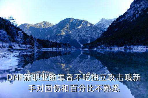 DNF新职业断罪者不吃独立攻击哦新手对固伤和百分比不熟悉