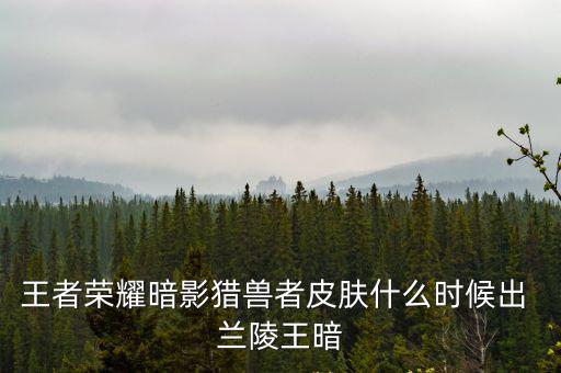 王者荣耀暗影猎兽者皮肤什么时候出 兰陵王暗