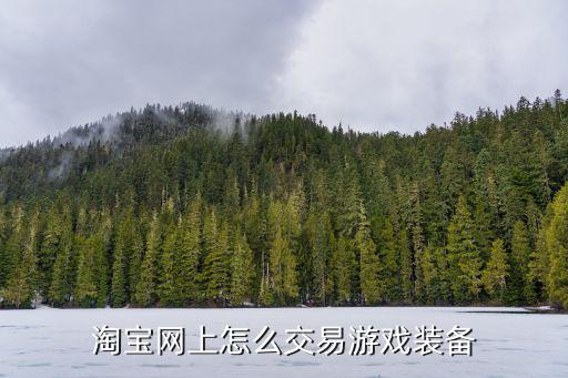淘宝网上怎么交易游戏装备