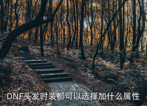 DNF头发时装都可以选择加什么属性