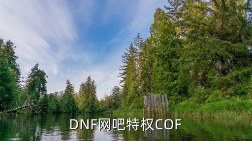 dnf网吧特权加什么属性，各等级网吧享有哪些特权 有诱惑力吗