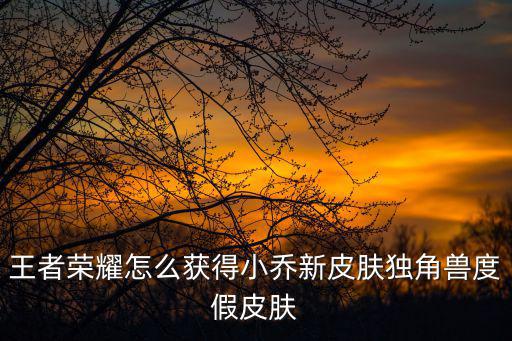 王者荣耀怎么获得小乔新皮肤独角兽度假皮肤