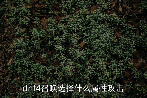 dnf召唤给队友什么属性，DNF召唤堆什么属性堆智力还是精神