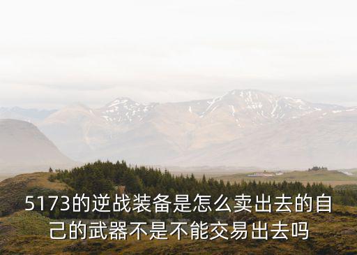 5173的逆战装备是怎么卖出去的自己的武器不是不能交易出去吗