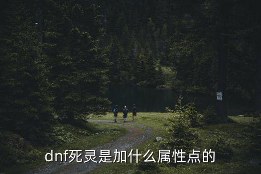 dnf死灵增幅什么属性吗，dnf死灵加什么属性