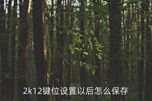 2k12键位设置以后怎么保存
