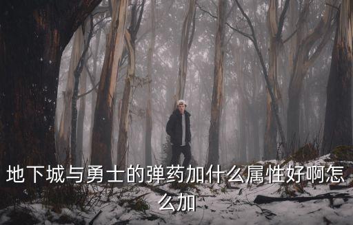 dnf弹药加什么属性好，DNF时装弹药加什么属性好